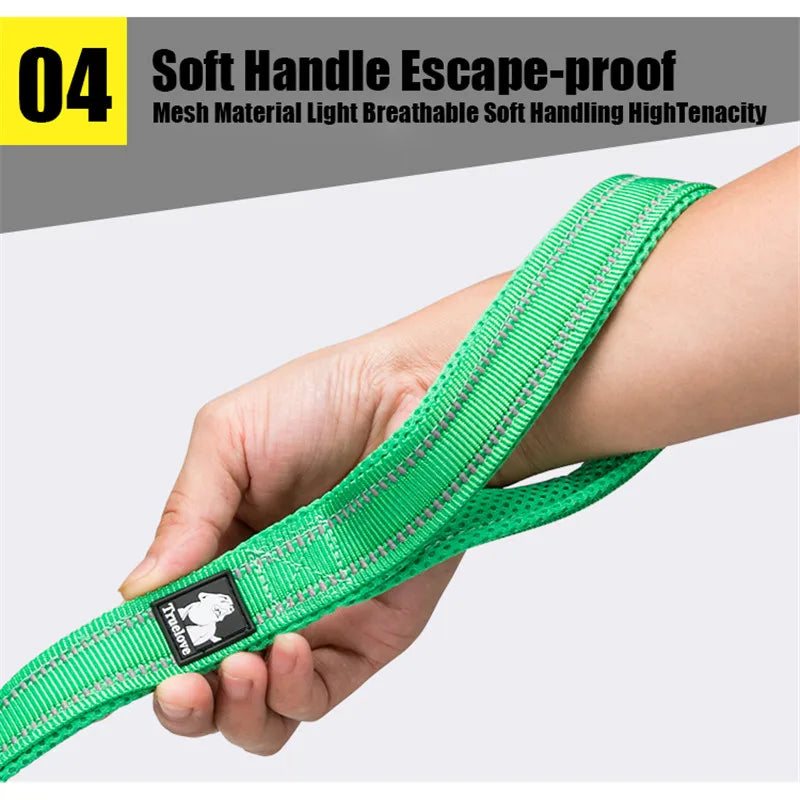 Truelove Padded Reflective Nylon Pet Leash For Dogs And Cats