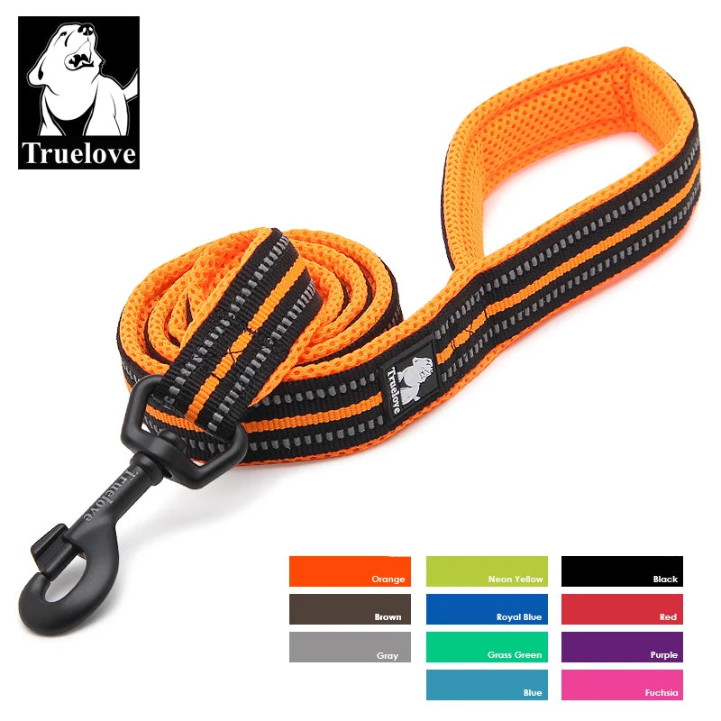 Truelove Padded Reflective Nylon Pet Leash For Dogs And Cats