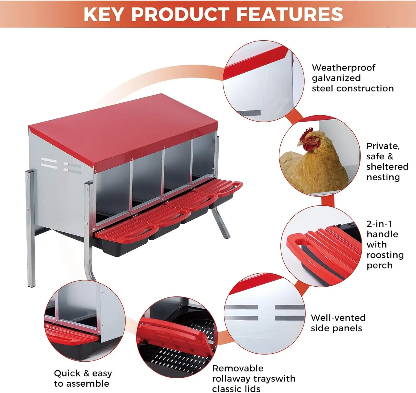 Twister Ck Automatic Egg Collection Metal Poultry Nesting Box
