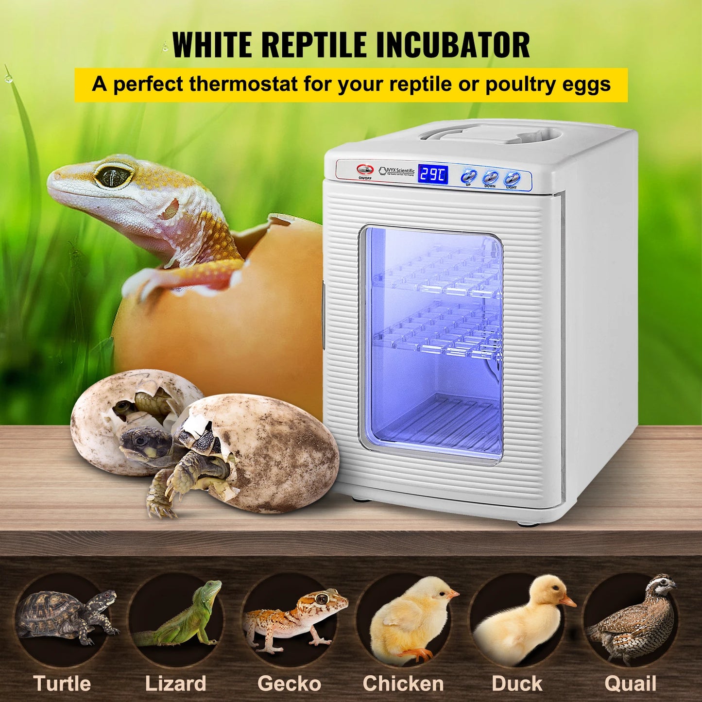 Automatic Reptile Egg Incubator With Precise Temperature Control