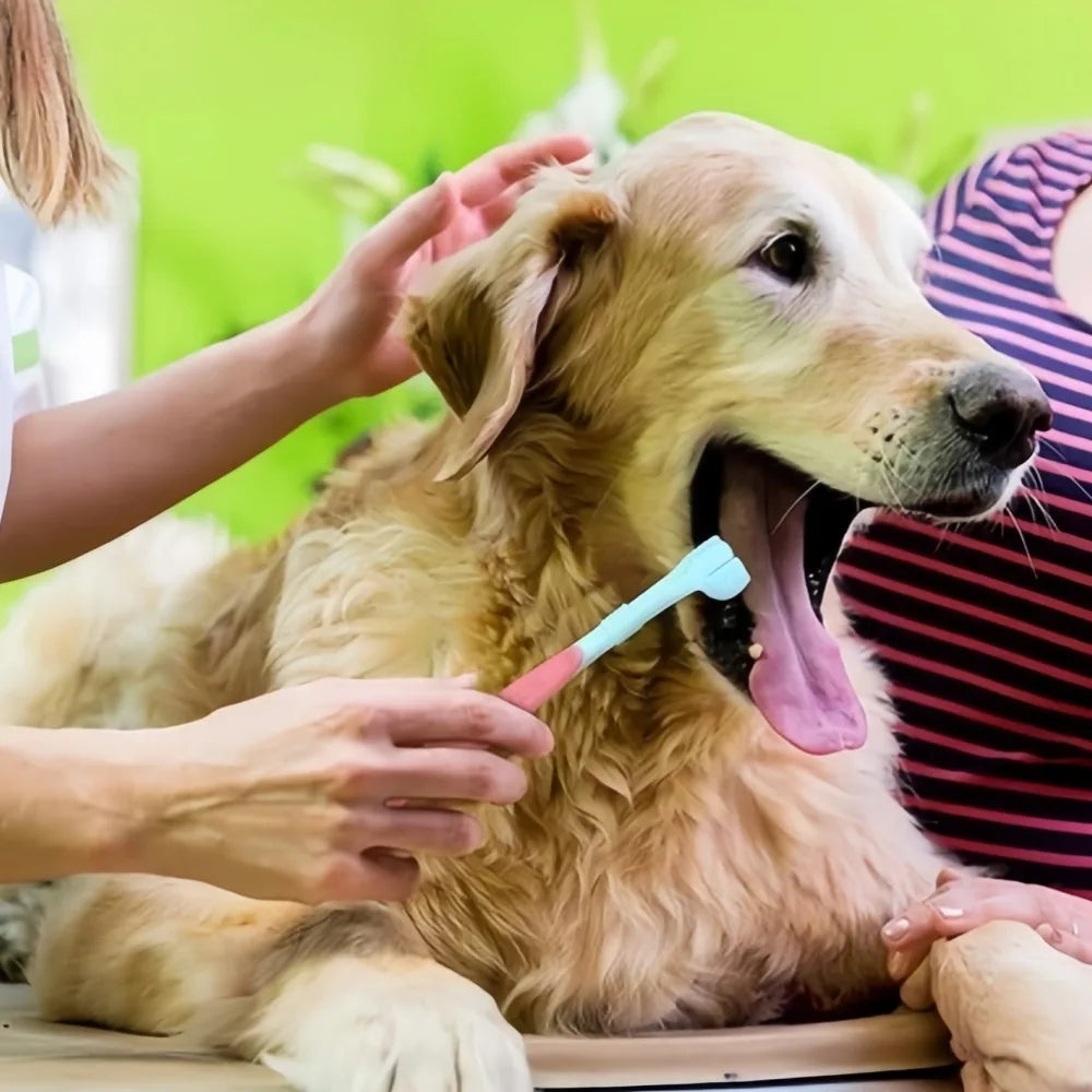 Three Sided Pet Toothbrush Removes Tartar And Freshens Breath