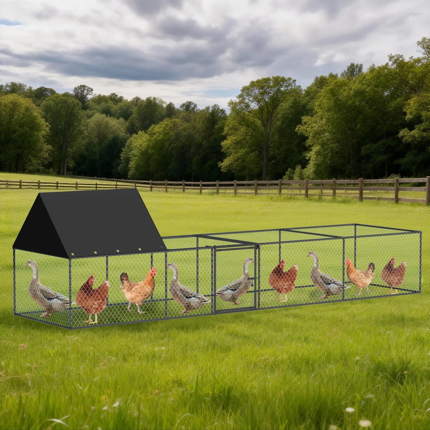 Bingopaw Metal Chicken Coop Walk-in Run Fence With Nylon Netting