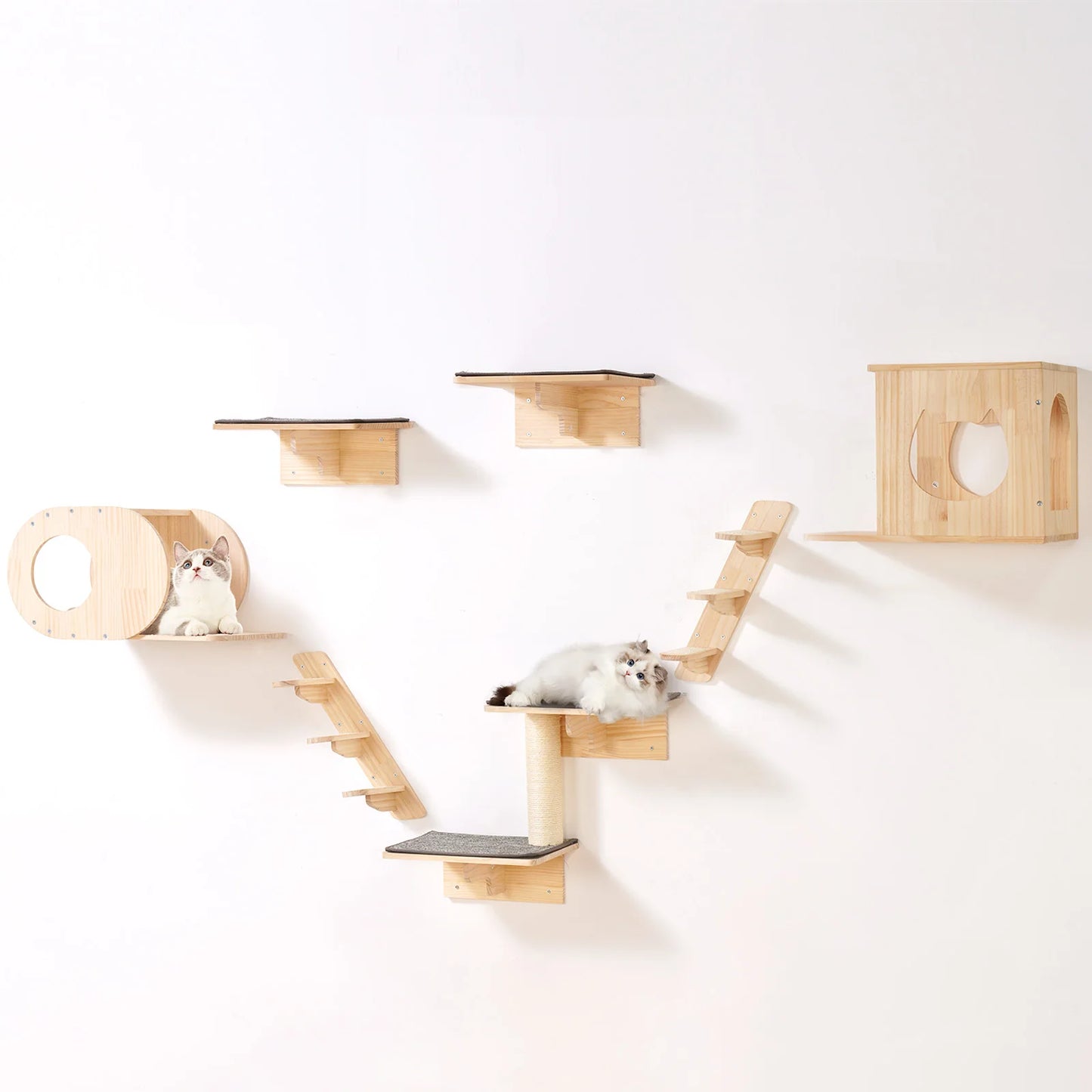SucceBuy Wall Mounted Cat Shelves And Hammock Perch Tree