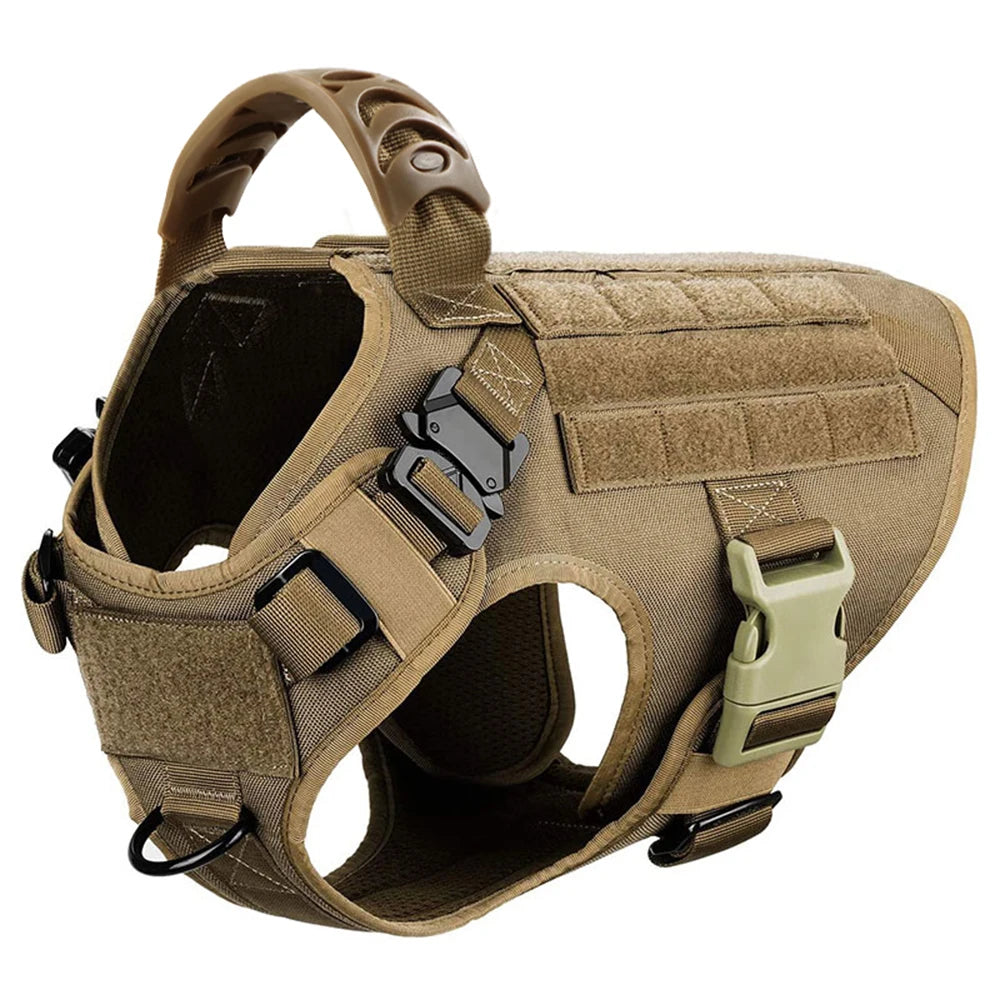 Padded Nylon Dog Harness And Leash Set For Daily Training