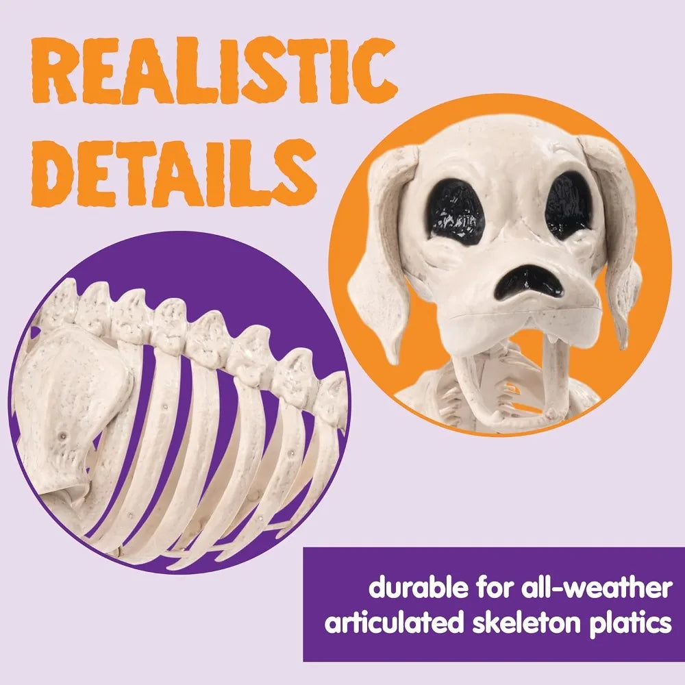 Full Body Posable Dog Skeleton For Halloween Graveyard Decoration