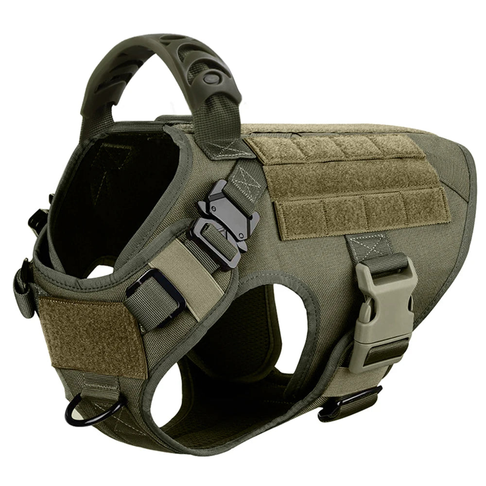 Padded Nylon Dog Harness And Leash Set For Daily Training