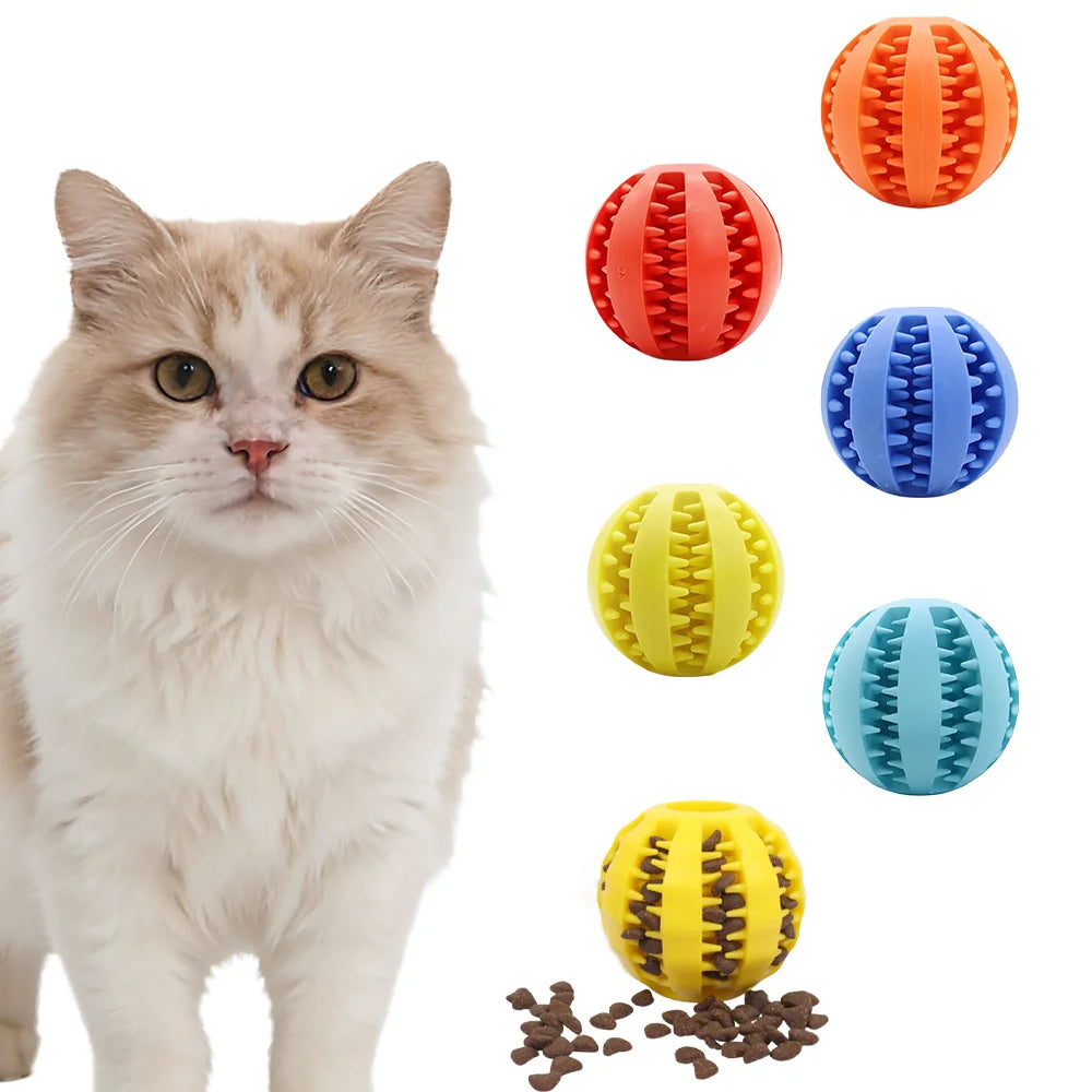 Interactive Rubber Dog Ball Toy For Teething And Training