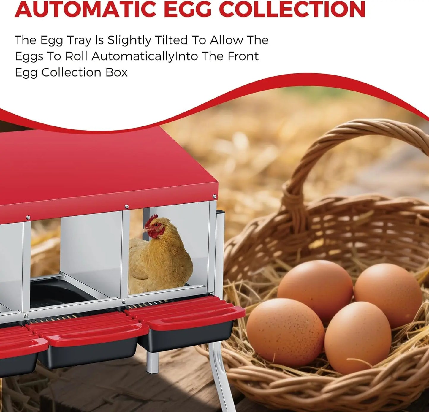 Twister Ck Automatic Egg Collection Metal Poultry Nesting Box
