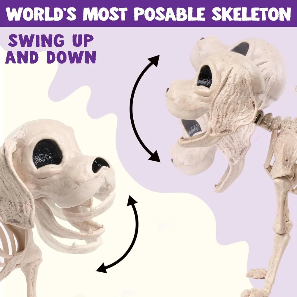 Full Body Posable Dog Skeleton For Halloween Graveyard Decoration