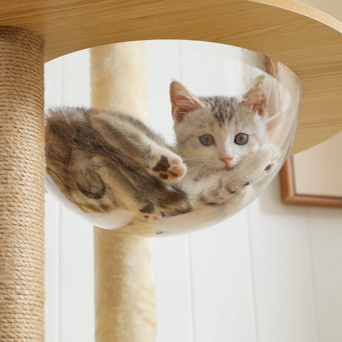 Pawz Wooden Cat Tower With Scratching Posts Hammock And Perch
