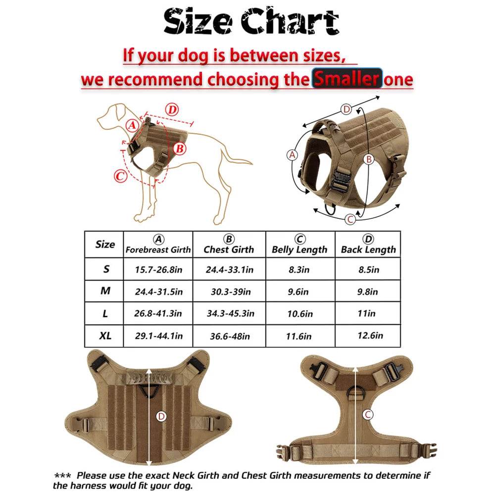 Padded Nylon Dog Harness And Leash Set For Daily Training