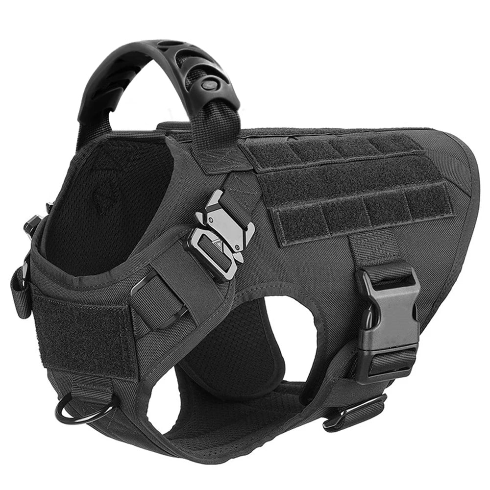 Padded Nylon Dog Harness And Leash Set For Daily Training