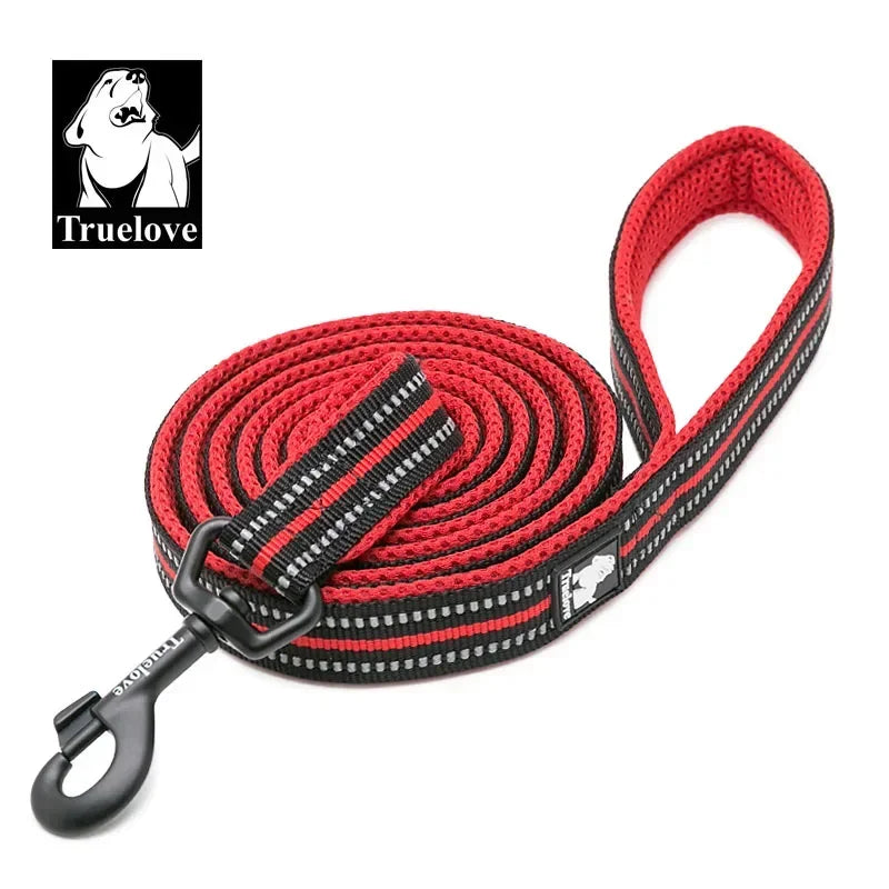 Truelove Padded Reflective Nylon Pet Leash For Dogs And Cats