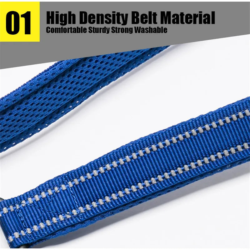 Truelove Padded Reflective Nylon Pet Leash For Dogs And Cats
