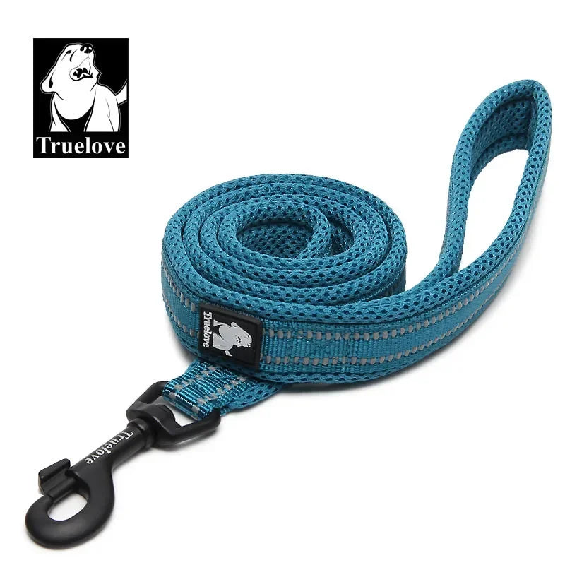 Truelove Padded Reflective Nylon Pet Leash For Dogs And Cats