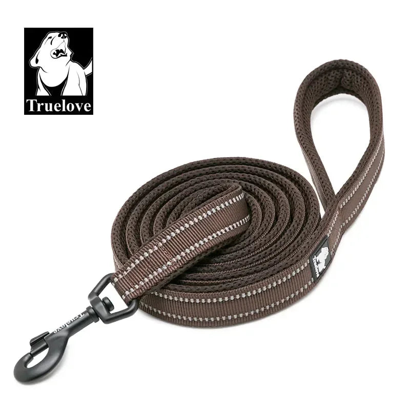 Truelove Padded Reflective Nylon Pet Leash For Dogs And Cats