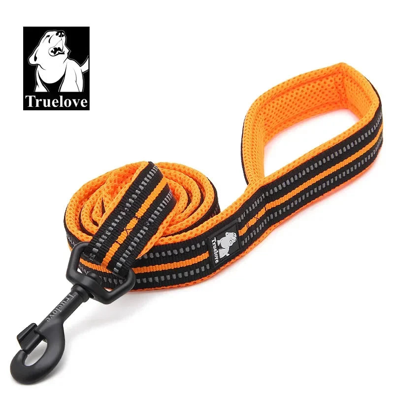 Truelove Padded Reflective Nylon Pet Leash For Dogs And Cats